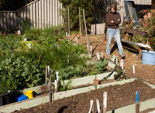 garden-perth Home gardens are part of the household economy. The home garden of a shared house in Perth, Western Australia.