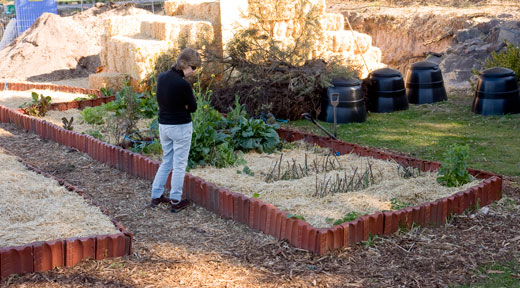 Roofing tile seconds have been used as durable garden edging and the garden mulched.