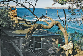 The cliffs of the South Head of Sydney harbour are seen in this view over the stone huts at the eastern end of the Crater Cove settlement.