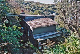 Looking eastwards over shack in bush, Crater Cove.
