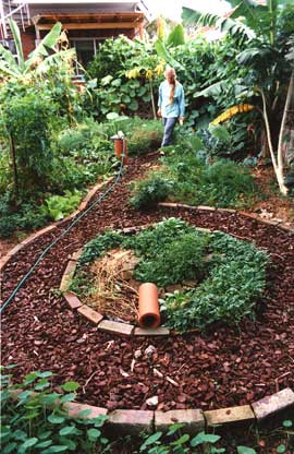 mont_finished_garden A circular herb garden was built around a sunken pond. The clay pipe provided habitat for lizards or other wildlife.