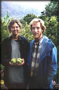 nc_wwoofers In the steep ridge country between Byron and Lismore, two WWOOFERS learn abut organic growing by doing
