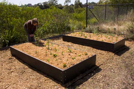 Training_garden_beds-021009 The rectangular beds will be used for annual vegetables by participants of the Sustainable gardening courses.The sides are made of recycled plastic salvaged from printer cartridges and other components.