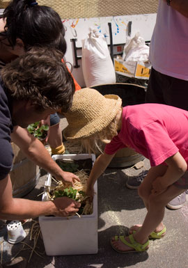 container_garden3 A young helper plants strawberries at the container garden construction demonstration.