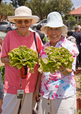 CPCG_opening_harvest Community gardeners with the opening day harvest of lettuce.