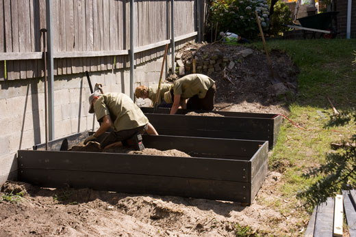 Garden-construction-221209_30 DAY ONE, late morning: The raised beds near completion and filling with reprocessed organic growing medium.