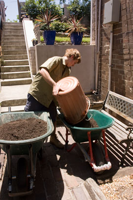 Garden-construction-221209_47 DAY ONE, early afternoon: An apprentice has carried a bin load of organic fill down the stairs from the stockpile on the footpath and tips it into a waiting barrow. The fill was then wheeled down to the garden. Add a caption DAY ONE, early afternoon: An apprentice has carried a bin load of organic fill down the stairs from the stockpile on the footpath and tips it into a waiting barrow. The fill was then wheeled down to the garden.