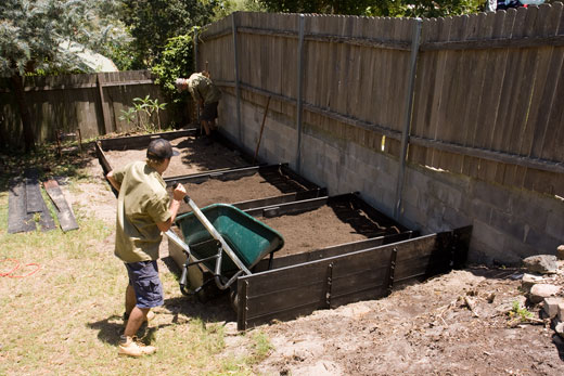 Garden-construction-221209_53 DAY ONE, afternoon: A barrow load of growing medium is tipped into the garden bed. Once there, the soil was raked into a smooth shape that was slightly mounded in the centre to allow for compaction.