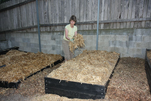 IMG_7986 DAY TWO, evening: As the day dims towards night, Fiona spreads a thick layer of pea straw on the garden beds as a mulch. The pea straw is from a leguminous plant that produces the nitrogen needed by growing plants.