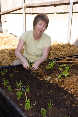 fiona_planting_garden DAY THREE, morning: On the morning of the third day of the garden project, Fiona plants seedlings of vegetables and flowers (that form part of the pest management/pollination strategy).
