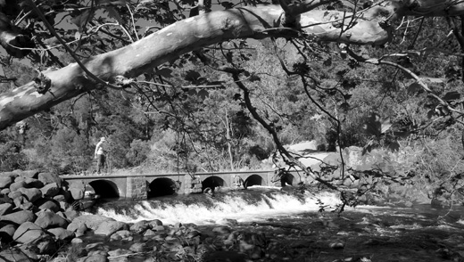 launceston-weir Crossing the weir at First Basin in Cataract gorge.