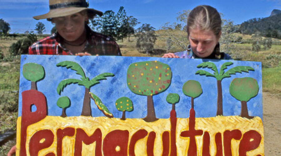 THE PERMACULTURE PAPERS — 1: Introductory notes