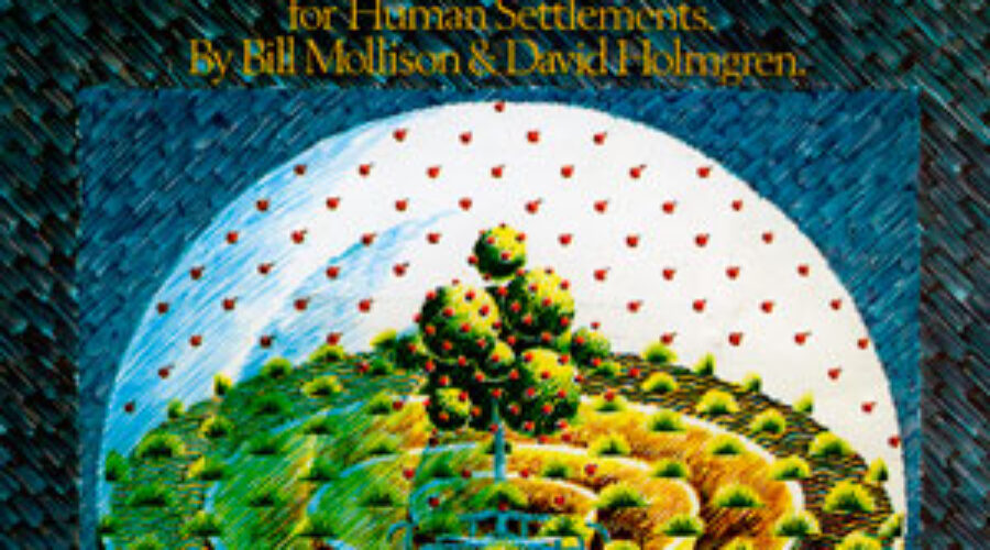 THE PERMACULTURE PAPERS — 2: The dawn