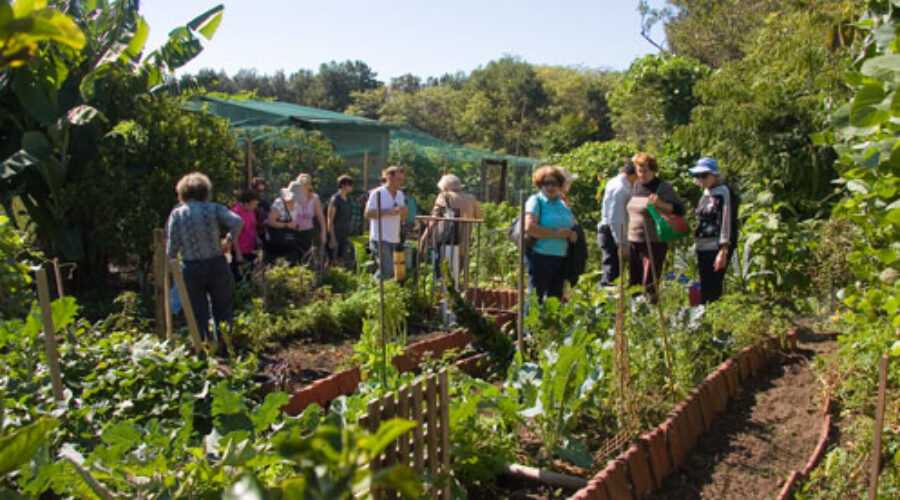THE PERMACULTURE PAPERS — 4: The nineties boomtime
