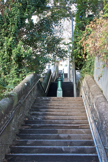 Potts-Point-7-(1)