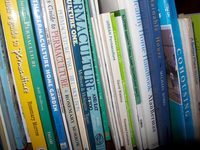 Books-1