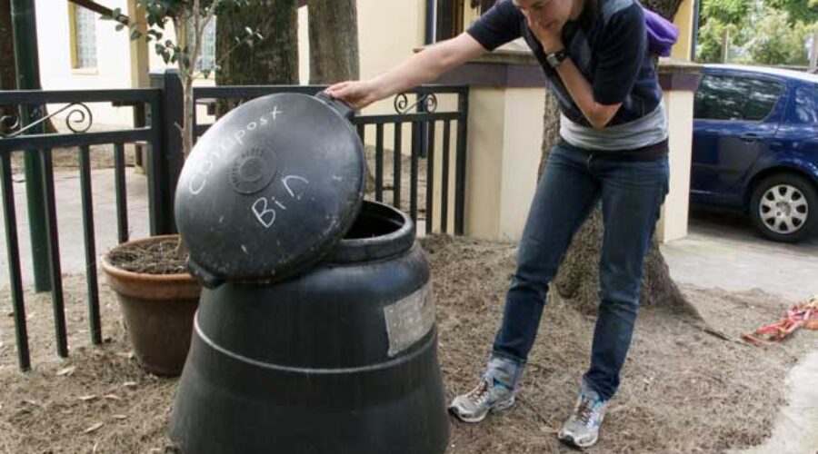Guerrilla composters and fruity gardens… a walk along Redfern’s back lanes