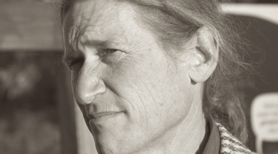 David Holmgren: design approach to food security