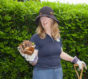 Barrett-House-footpath-garden-day-one-construction-15