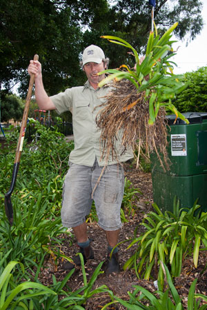 Barrett-House-footpath-garden-day-one-construction-5