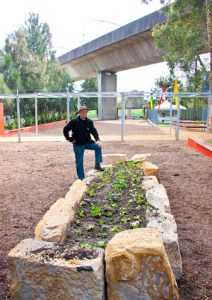 Community-gardens-Bourke-Street-Park-&-Community-Garden-54