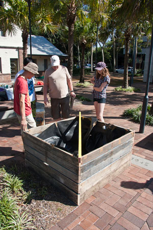 Green-Square-Growers-first-planter-box,-Victoria-Park-11