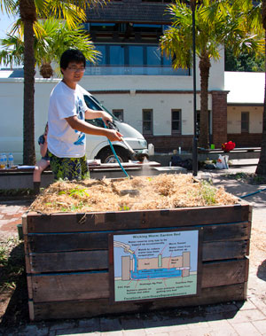 Green-Square-Growers-first-planter-box,-Victoria-Park-127