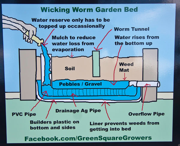 Green-Square-Growers-first-planter-box,-Victoria-Park-27