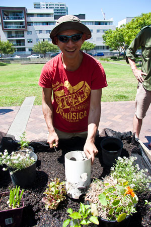 Green-Square-Growers-first-planter-box,-Victoria-Park-86
