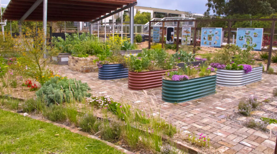 Permaculture—time to scale up?