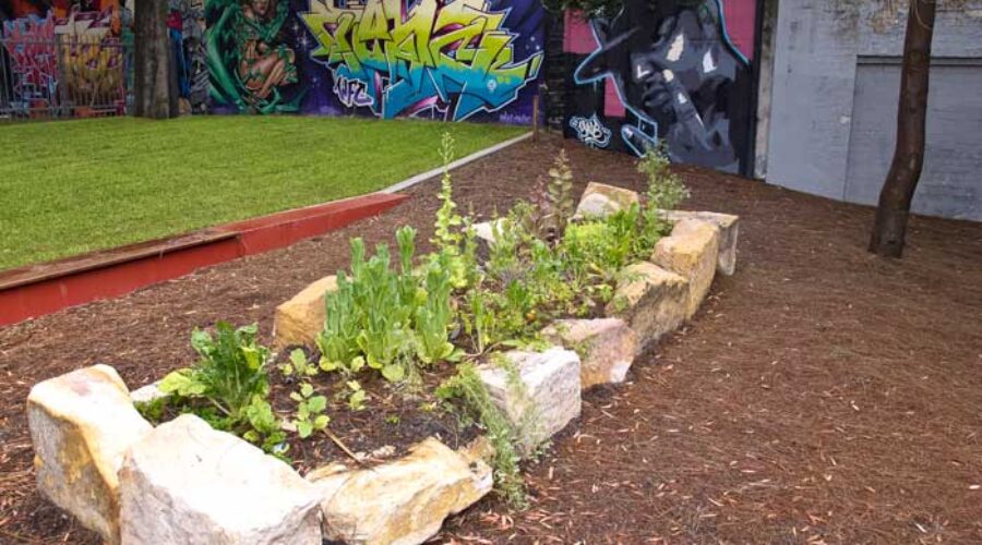 Something new and edible is coming to Woolloomooloo