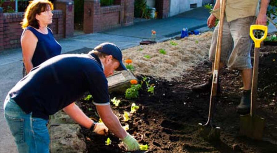 Day 2: Ripping time as gardeners create edible footpath garden