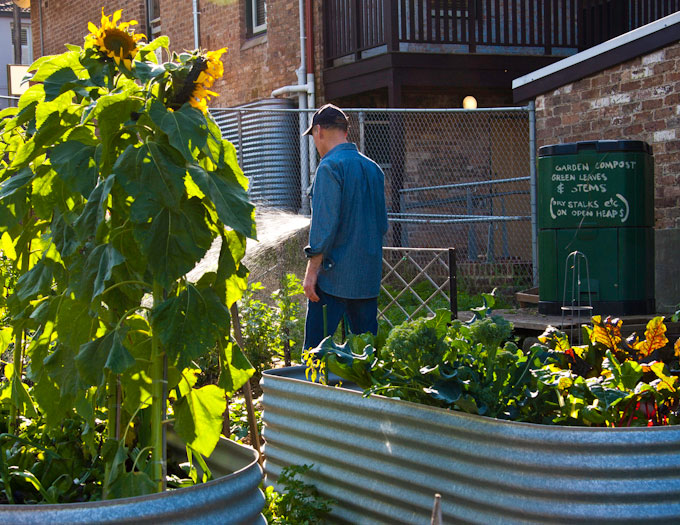 Permaculture-Pioneers-book-launch_27August2011-30 White's Creek Community Garden, Annandale, Sydney.