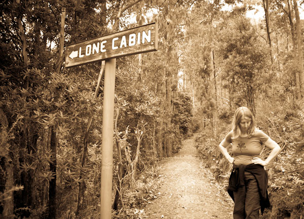 Tasmania-Lone-Cabin_Lenah-Valley-Track-1