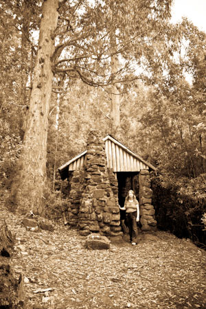 Tasmania-Lone-Cabin_Lenah-Valley-Track-3