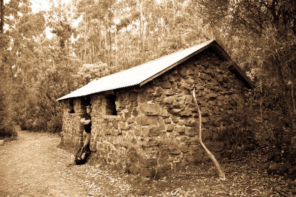 Tasmania-Rock-Cabin_Lenah-Valley-Track-14