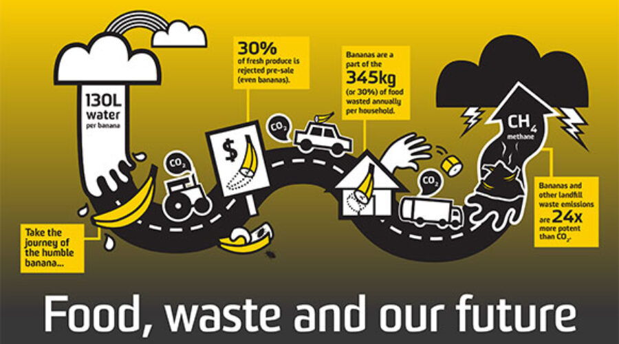 Solutions shine at food waste forum
