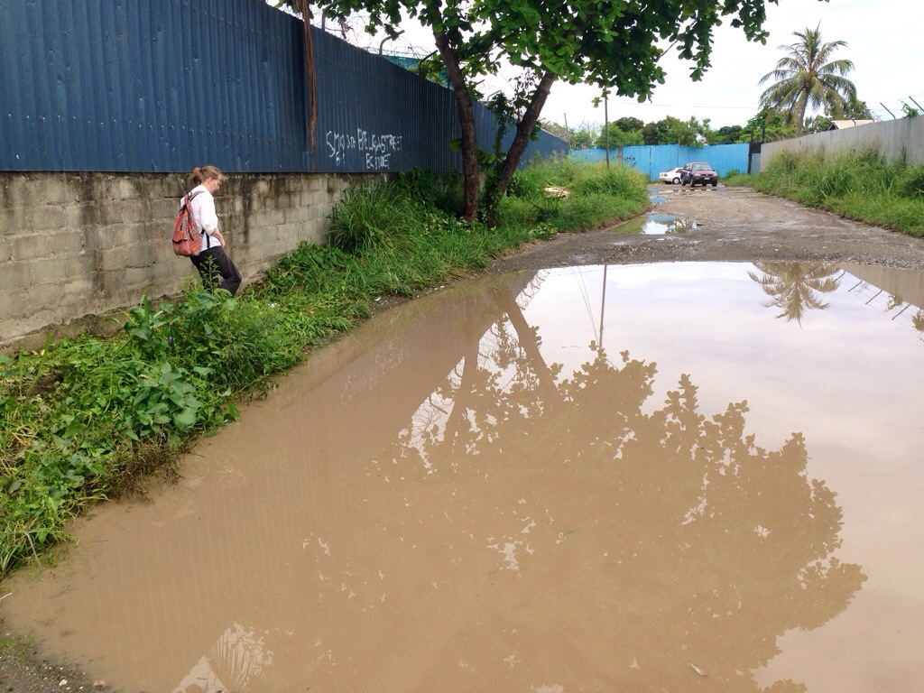 20131019-191232.jpg