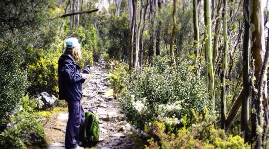 The Organ Pipes Track — sunshine and ice