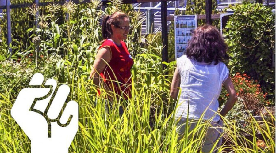 Defending civic agriculture
