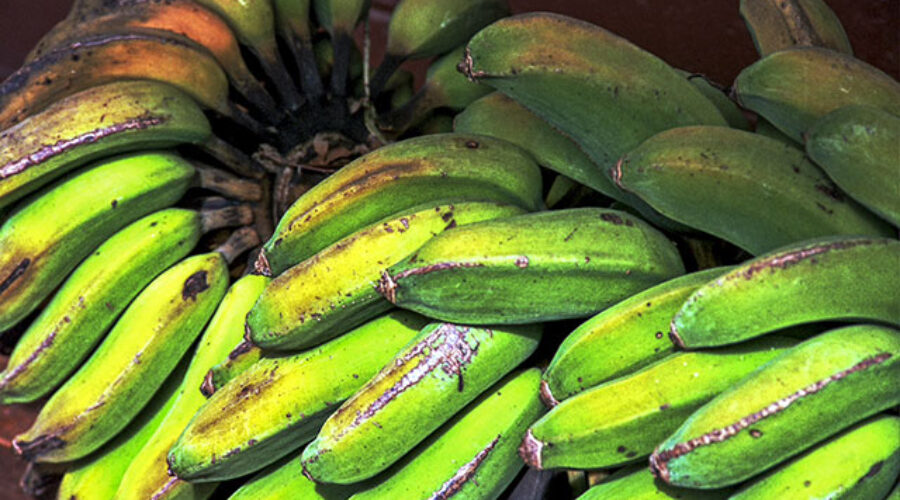 New software promises decentralised solution to buying food