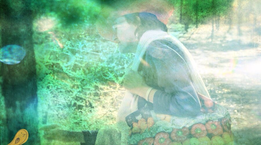 Time to ensure permaculture internships not exploitative