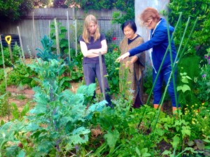 community gardens