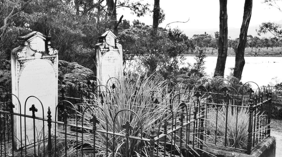 In the scrub, by the bay — a rediscovery