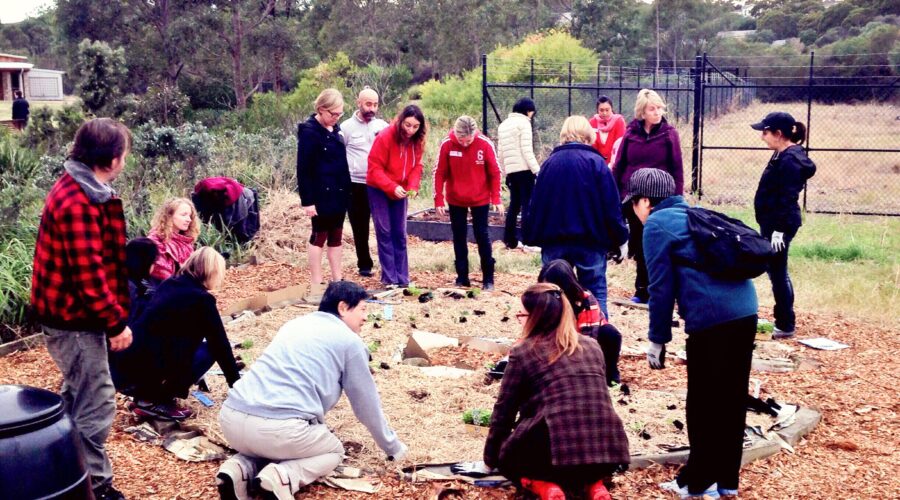 Learning to create our new nature in the city…
