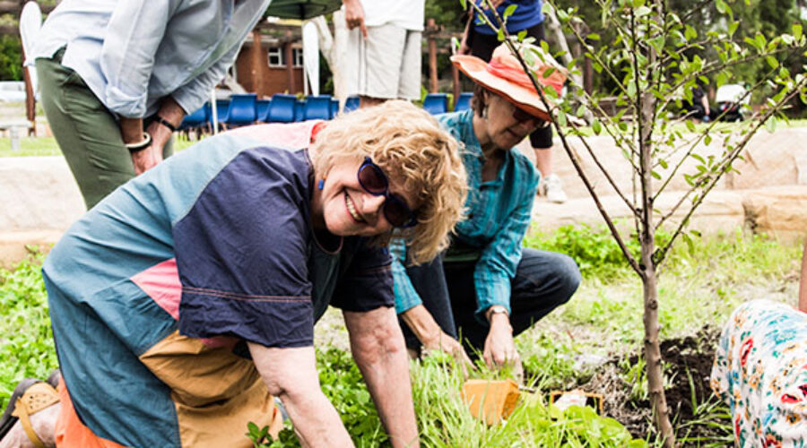 Local government reform necessary to urban agriculture’s future