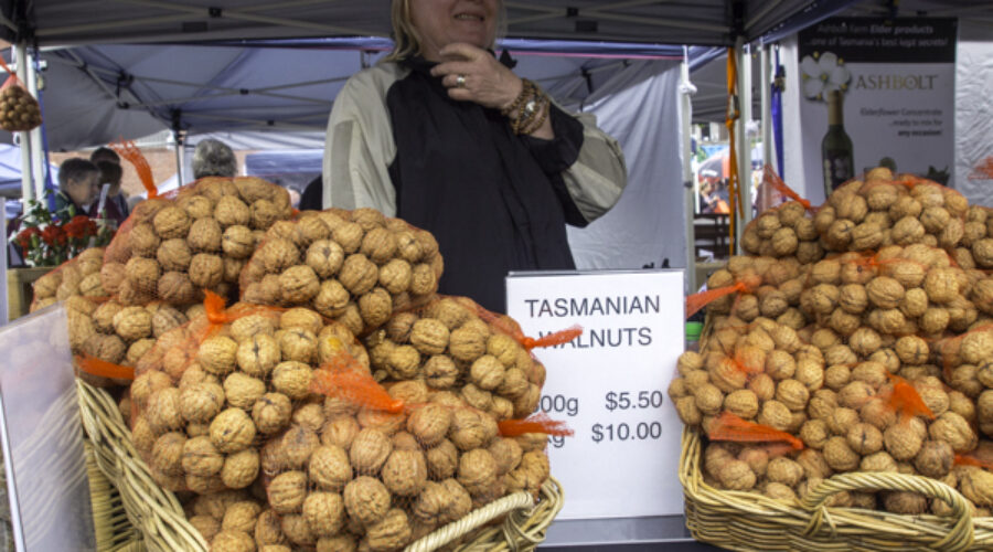 The Community Food Movement: An alternative — the community food system