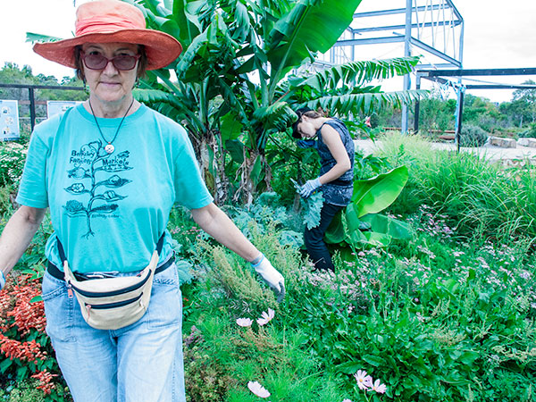 Horticultural educator and educator with Inner West Seedsavers, Jane Mowbray (left) in the Permaculture Interpretive Garden. Seen at the banana trees behind is horticultural educator, Leesa Burton.