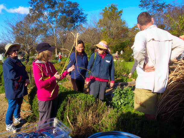 Not just retirees… home and commuhnity food production attracts a range of age groups.