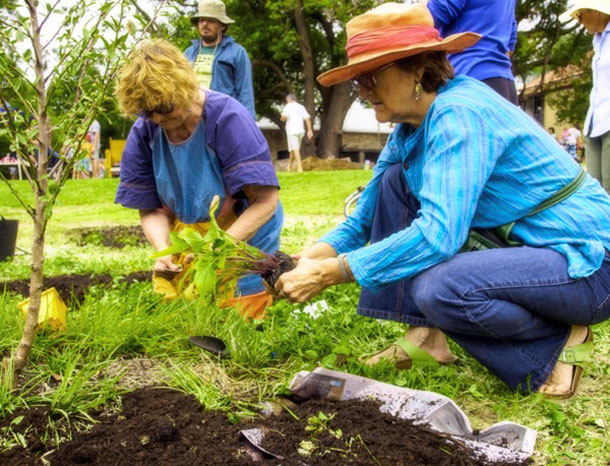 Home and community gardening supplements the family food supply and to a limited degree exercises a degree of control over the food people choose.